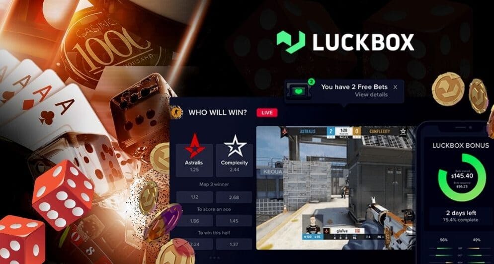 Le lancement du Casino propriétaire par Luckbox S'est avéré coûteux
